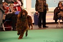 Crufts2011_2 172